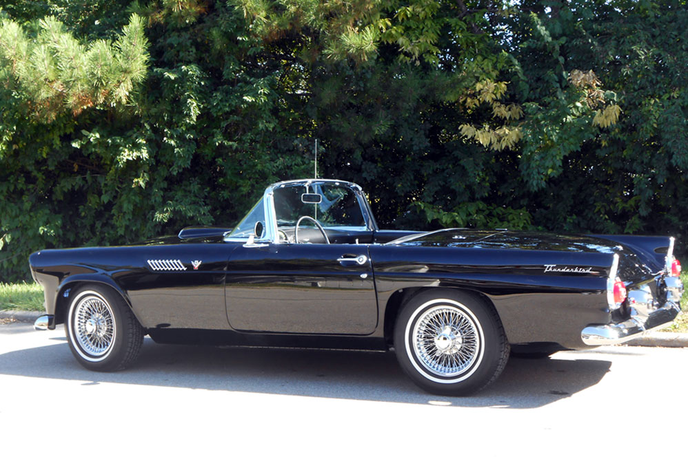 1955 T-Bird